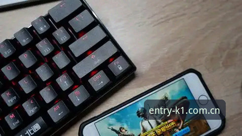 老用户经验分享：k1体育电脑版对比各平台使用心得